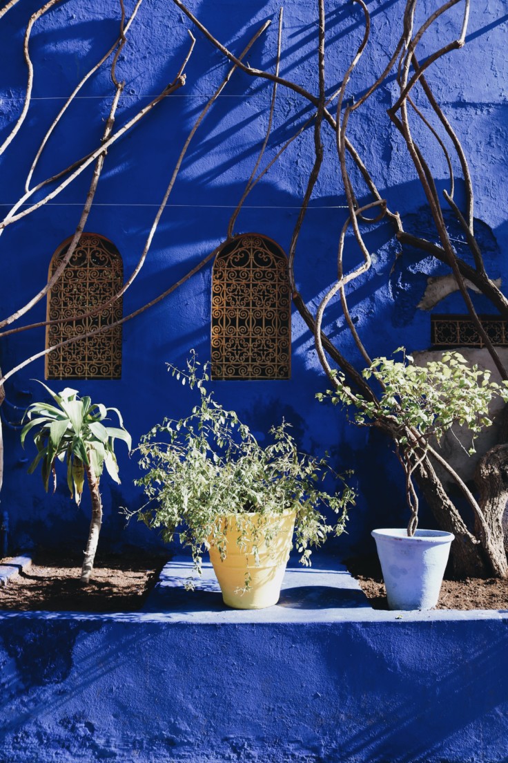 marrakech - jardin majorelle - nickyinsideout - nicole ballardini -